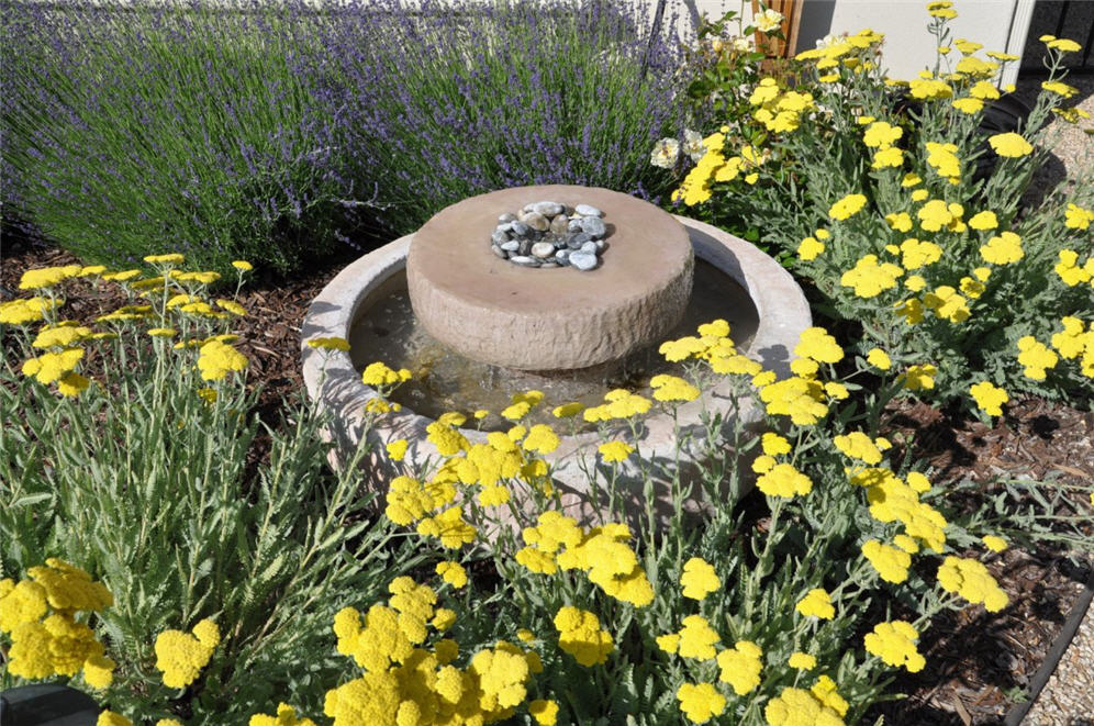 Achillea and Stone Water Feature