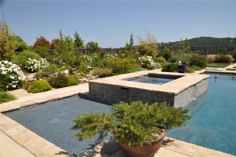 garden around pool