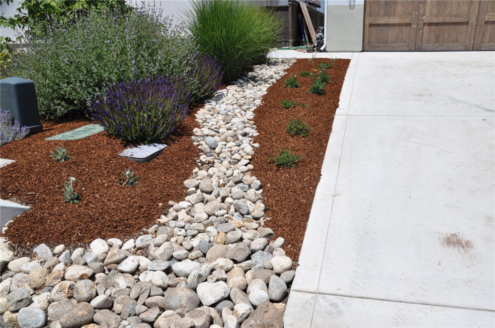 Dry Creek Bed and Mulch