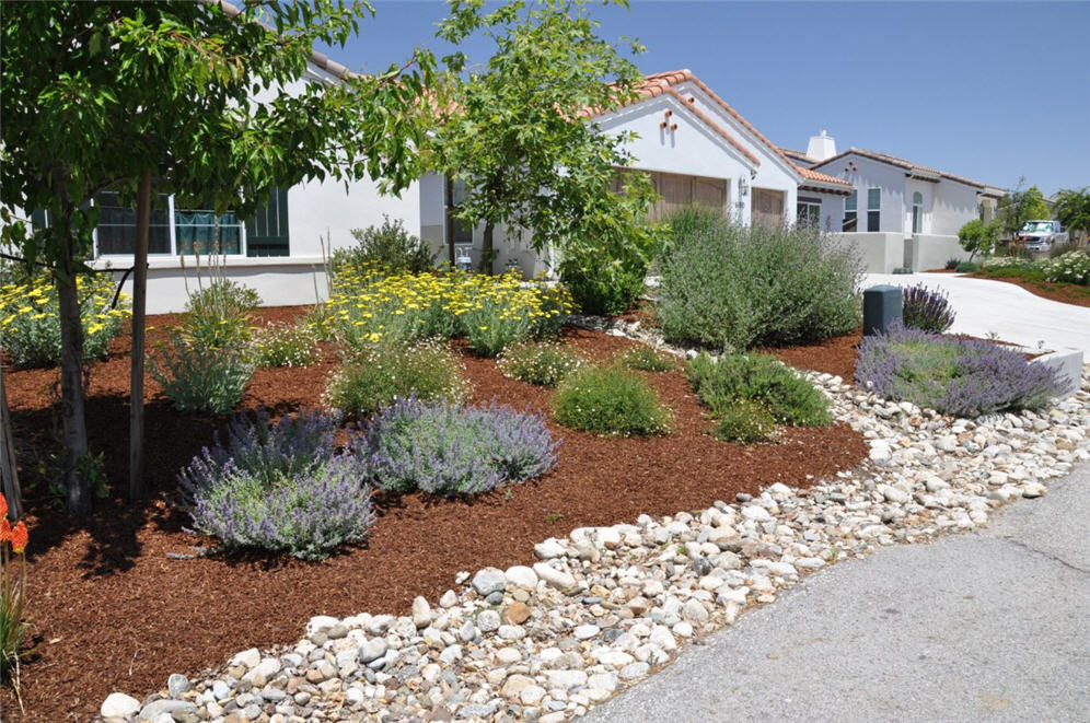 Rock and Flagstone Front Yard