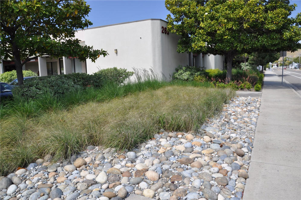 Grasses Edged With River Rock