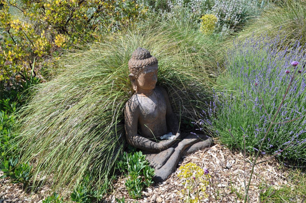 Buddha Sits With Grass