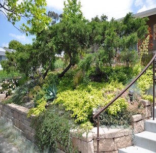 Wall Garden