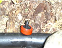 Drip Irrigation